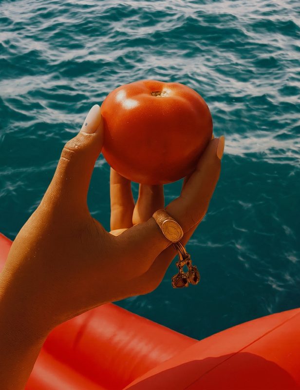 Sun-ripened tomato held over the sea